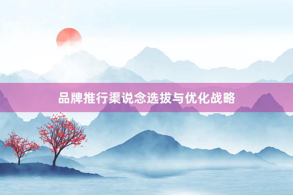 品牌推行渠说念选拔与优化战略