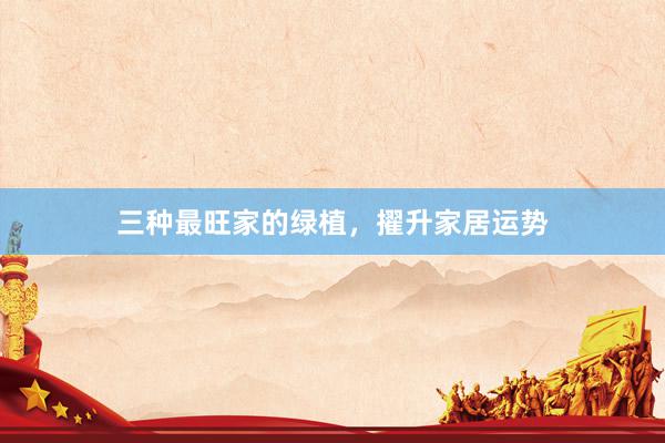 三种最旺家的绿植，擢升家居运势