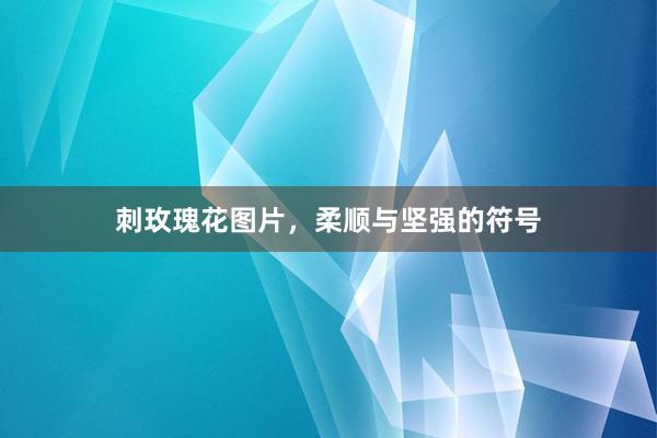 刺玫瑰花图片，柔顺与坚强的符号