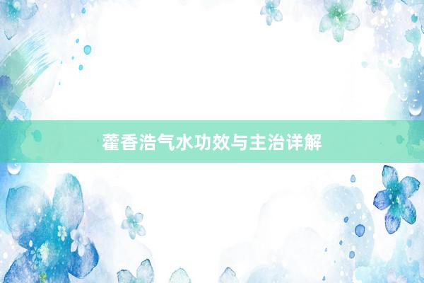 藿香浩气水功效与主治详解